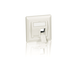 Equip Frontplatte 2xKeystone Jack 45° 5Stk RAL1013...