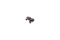 Amewi Breaker 4WD brushless 1:10 Sand Buggy, RTR