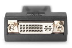 DIGITUS DisplayPort Adapter DPort -> DVI-I St/Bu Polybeutel