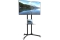 Techly TV LED/LCD Wagen f. LCD LED TV 30-65 höhenverstellb