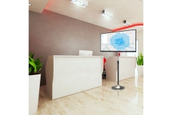 Techly TV LED/LCD Standfuß rund, 13-27
