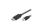 Techly DisplayPort 1.1 auf HDMI Kabel schwarz 1m
