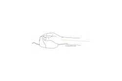BakkerElkhuizen Maus Evoluent 4 VerticalMouse links USB retail
