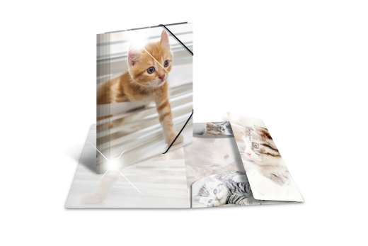 HERMA Sammelmappe A4 Glossy Katze Polypropylen