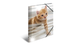 HERMA Sammelmappe A4 Glossy Katze Polypropylen