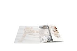HERMA Sammelmappe A4 Glossy Katze Polypropylen