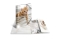 HERMA Sammelmappe A4 Glossy Katze Polypropylen