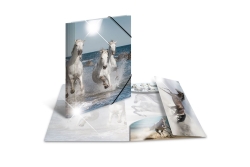 HERMA Sammelmappe A4 Glossy Pferd Polypropylen