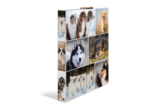 HERMA Ringbuch A4 Hunde 4D