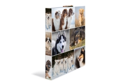 HERMA Ringbuch A4 Hunde 4D