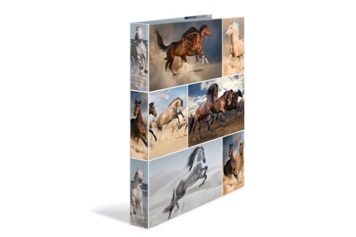 HERMA Ringbuch A4 Pferde 4D