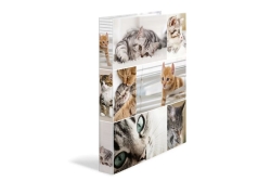 HERMA Ringbuch A4 Katzen 2D