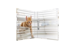 HERMA Ringbuch A4 Katzen 2D