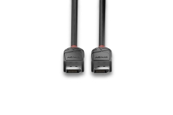 LINDY DisplayPort Kabel Black Line 0.5m