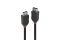 LINDY DisplayPort Kabel Black Line 0.5m