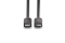 LINDY DisplayPort Kabel Black Line 0.5m