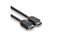 LINDY DisplayPort Kabel Black Line 1m