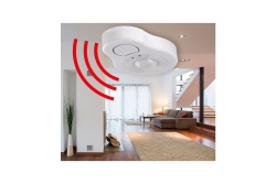 Olympia Deckenbewegungsmelder m. Alarm BMD 210