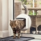 SUREFEED Mikrochipgest. DualScan Katzenklappe - weiß