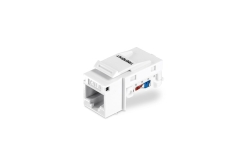 TRENDnet Keystone-Buchsen 50er-Pack Cat6 werkzeuglos 90°