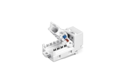 TRENDnet Keystone-Buchsen 50er-Pack Cat6 werkzeuglos 90°