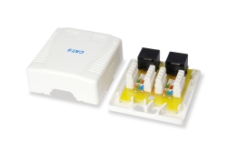 Equip Aufputzdose Cat6 2-Port 2x RJ45 UTP RAL 9010 ws Polybeutel