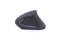 gembird Maus OPT ergonomisch wireless 6-Tasten schwarz