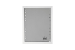 DURABLE Monatsregister Dez-Jan 12-teilig grau