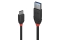 LINDY USB 3.1 Kabel Typ C/A Black Line M/M 0.15m
