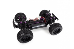 Amewi RC Monstertruck Crazist 4WD 1:10 RTR bunt /14+