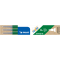 Tintenrollermine FriXion BLS-FRP5 - 0,3 mm, grün, 3er Pack