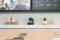Logitech ConferenceCam Rally black bulk