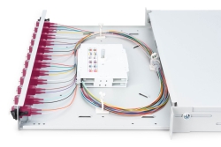DIGITUS LWL Spleißbox 1HE bestückt 12x LC DX OM4 grau