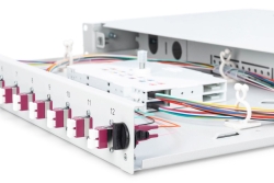 DIGITUS LWL Spleißbox 1HE bestückt 12x LC DX OM4 grau