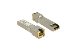 DELOCK SFP Modul SFP+ -> 10GBase-T RJ45