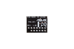 ASUS TPM-SPI bulk