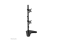 Neomounts TIS 10-32 2TFT 2Gelenke schw. Max.8KG