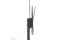 Neomounts BOS 60-100 1TFT Max.100KG schw (Speditionsversand)
