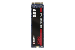 Emtec SSD M.2 Sata X250 256GB Intern