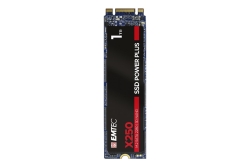 Emtec SSD M.2 Sata X250 1TB Intern