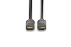 LINDY DisplayPort 1.2 Kabel, Anthra Line 10m