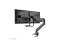 Neomounts TIS 10-32 2TFT 1 Gelenk schwarz Max.16KG