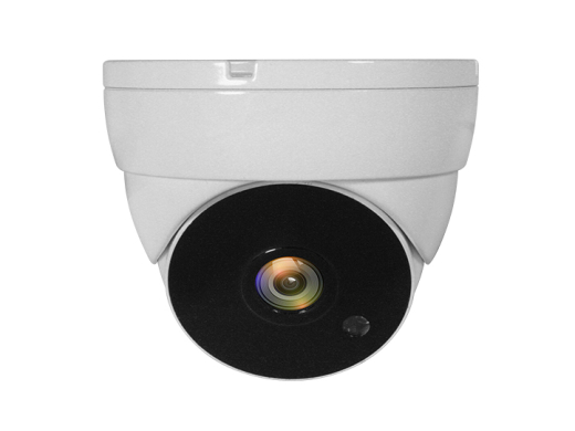 LevelOne CCTV Dome Kamera 4-in-1 FHD/IP67/IR-30m weiß