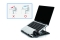 CONCEPTRONIC Laptop-Kühlpad 50Kg ERGO 15.6 gr