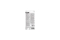 tesa Glue Pen 2x20g Blister