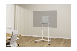 Neomounts BOS 37-70 1TFT Max.70KG weiß