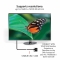 Club3D Kabel DVI > VGA 3m St/St retail