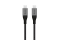 Alogic USB 2.0 Datenkabel Typ C -C M/M 5A 480 Mbps 0,3m, gr