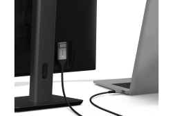 Alogic USB C Adapterkabel Typ C -DPort M/M 4k 60 Hz 1m, gr