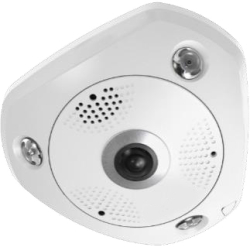 LevelOne IPCam Fisheye Dome In 12MP/H.265/IR/ 12W/PoE/IP67